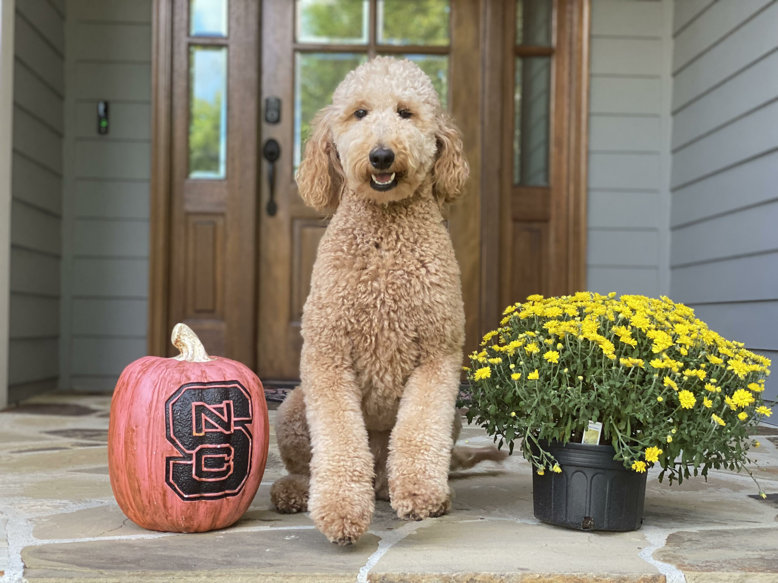 Eden is Ready for Halloween