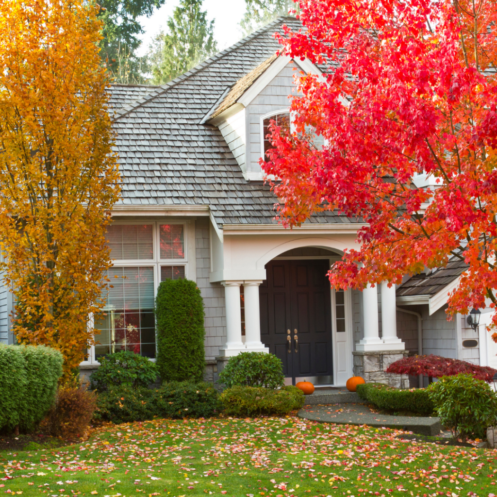 Lawn Care Fall NC